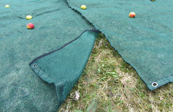 Robustes Netz zur einfachen Ernte von z.B. Früchten und Nüssen - speziell für Spalierobst, bzw. Pflanzung in Reihen